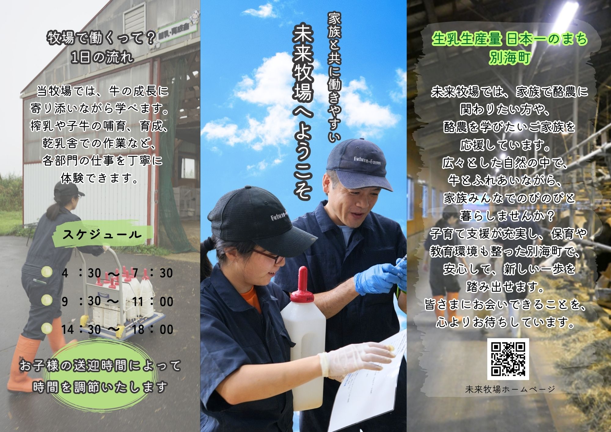パンフレット写真